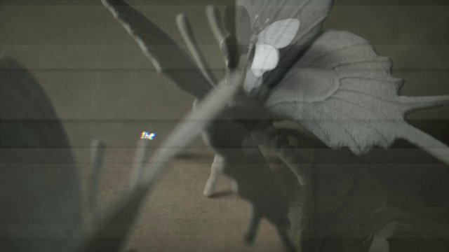The Nameless Bride