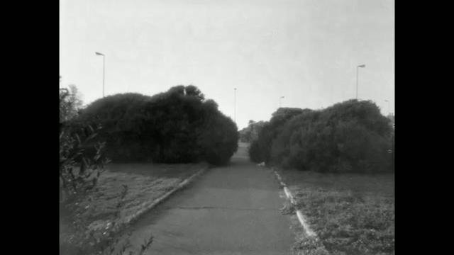 100 km/h, 100 photos/4 h 28 min.